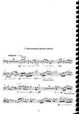 Bassoon 1