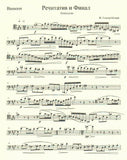 Bassoon 