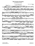 Fernandez, Oscar Lorenzo % Tres Invencoes Seresteiras (score & parts) - CL/BSN