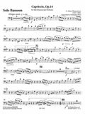 Weissenborn, Julius % Capriccio, op. 14 (score & parts) - BSN/ORCH