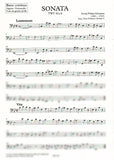 Bassoon 