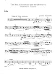 Bassoon 