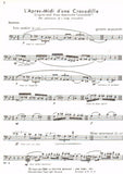 Bassoon 