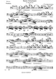 Bassoon 