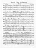 Kummer, Gotthelf Heinrich % Twelve Trios Op 13 (Score & Parts)-3BSN