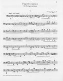 Bruns, Victor % Bassoon Studies for the Advanced Player, op. 32 - BSN