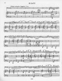 Bruns, Victor % Concerto #2, op. 15 - BSN/PN