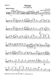 Bassoon 1