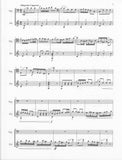 Weber, Carl Maria von % Andante e Rondo Ongarese, op. 35 (score & parts) - BSN/GUITAR