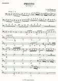 Bassoon 