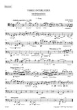 Bassoon 1