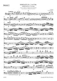 Bassoon 1