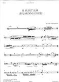 Bassoon 1