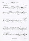 Oboe 