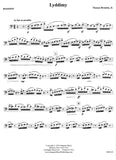 Bassoon 1