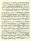 Score 4