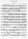 Bassoon
