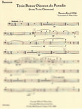 Bassoon 