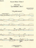 Bassoon 