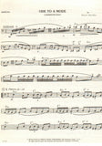 Bassoon 