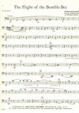 Bassoon 