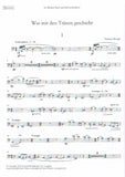 Bassoon 