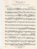 Bassoon 