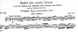 Oboe d'Amore 10
