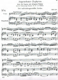 Score 6