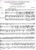 Score 7