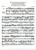 Score 4