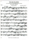Oboe