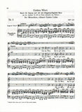 Score 3