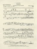 Bassoon 