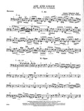 Bassoon 1