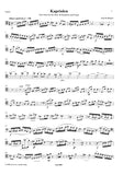 Bassoon 1