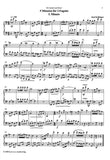 Bassoon 1