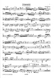 Bassoon 1