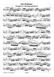 Bassoon 1