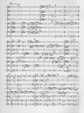 Laderman, Ezra % Theme, Variations, & Finale (Score & Parts)-FL/CL/BSN/HN/VLN/VLA/CEL/KB