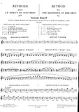 Bassoon
