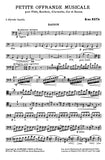 bassoon 