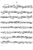 Bassoon 2