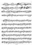 Bassoon 2