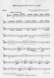 Gebauer, François René % Quintet #3 in c minor (parts only) - WW5