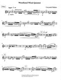 Oboe 