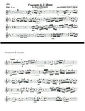 Marcello Oboe Concerto c minor MMP - excerpts