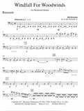 Holcombe, Bill % Windfall for Woodwinds (Score & Parts)-WW5