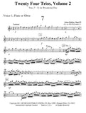 Oboe 