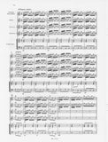Vivaldi, Antonio % Concerto in C Major F12 #30 RV87-FL/OB/2VLN/PN (Basso Continuo)